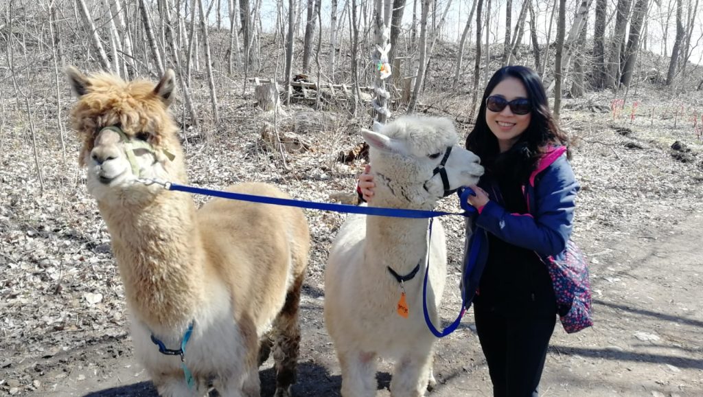 Hsiu-Chin Lin Social Profile